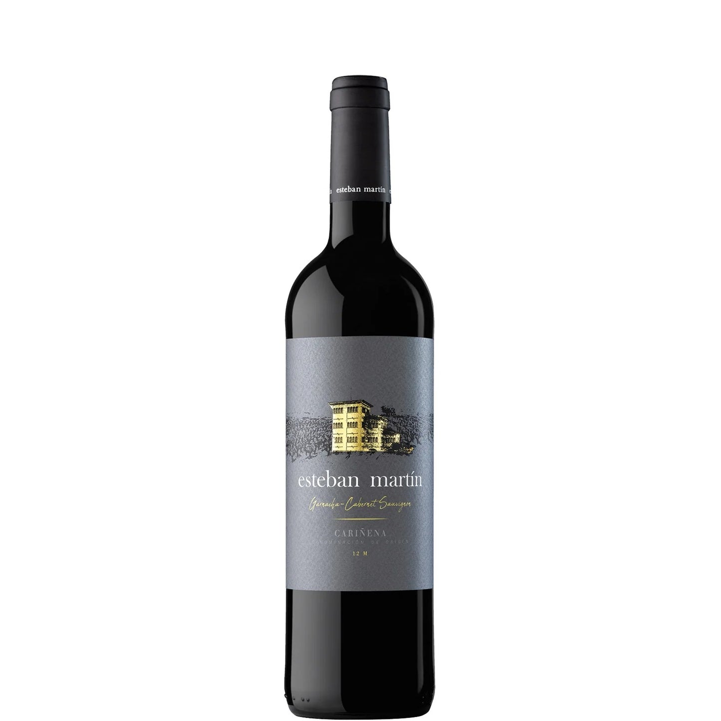 Esteban Martín, Oak 12, 2019