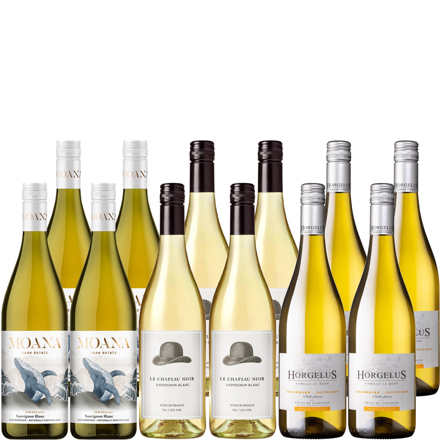 World Sauvignon Blanc Day Case