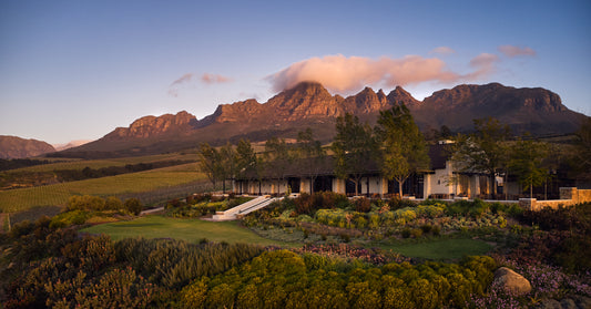 Featured wine producer of the month: Ernie Els Wines
