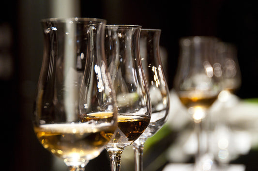 Wine Producer Of The Month - Corte Adami