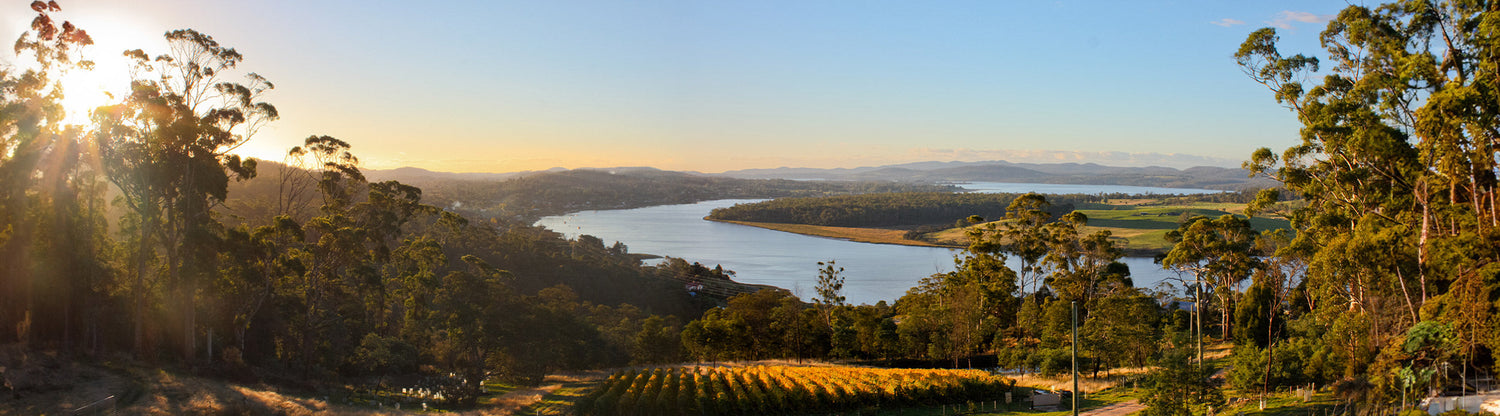 Wines from around the World