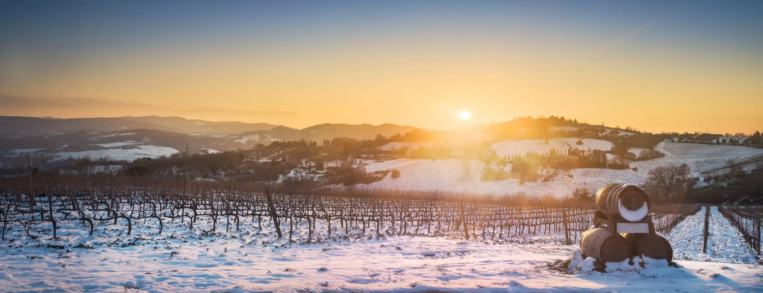 WELCOME TO FINE WINE OFFERS